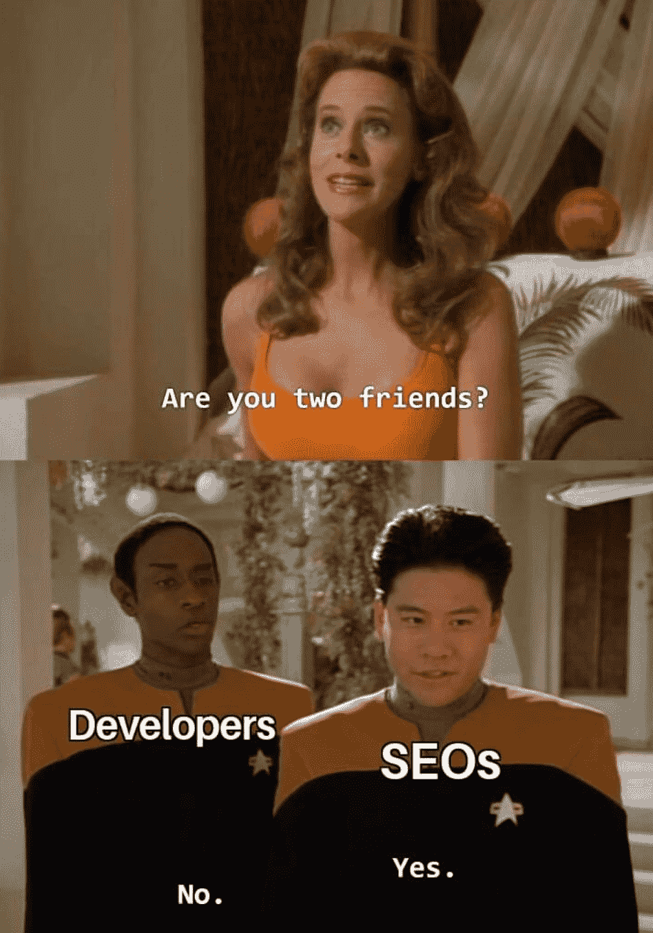 memes de SEO