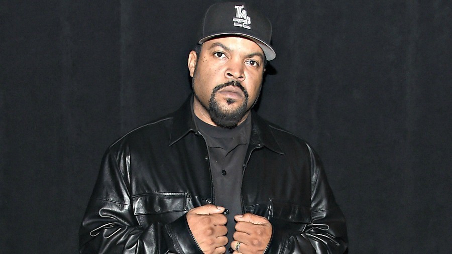 Image result for ice cube 2017