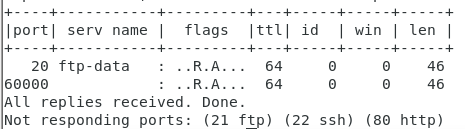 hping3-instalar-sudo-escaneo-ciberseguridad-behackerpro-resultado