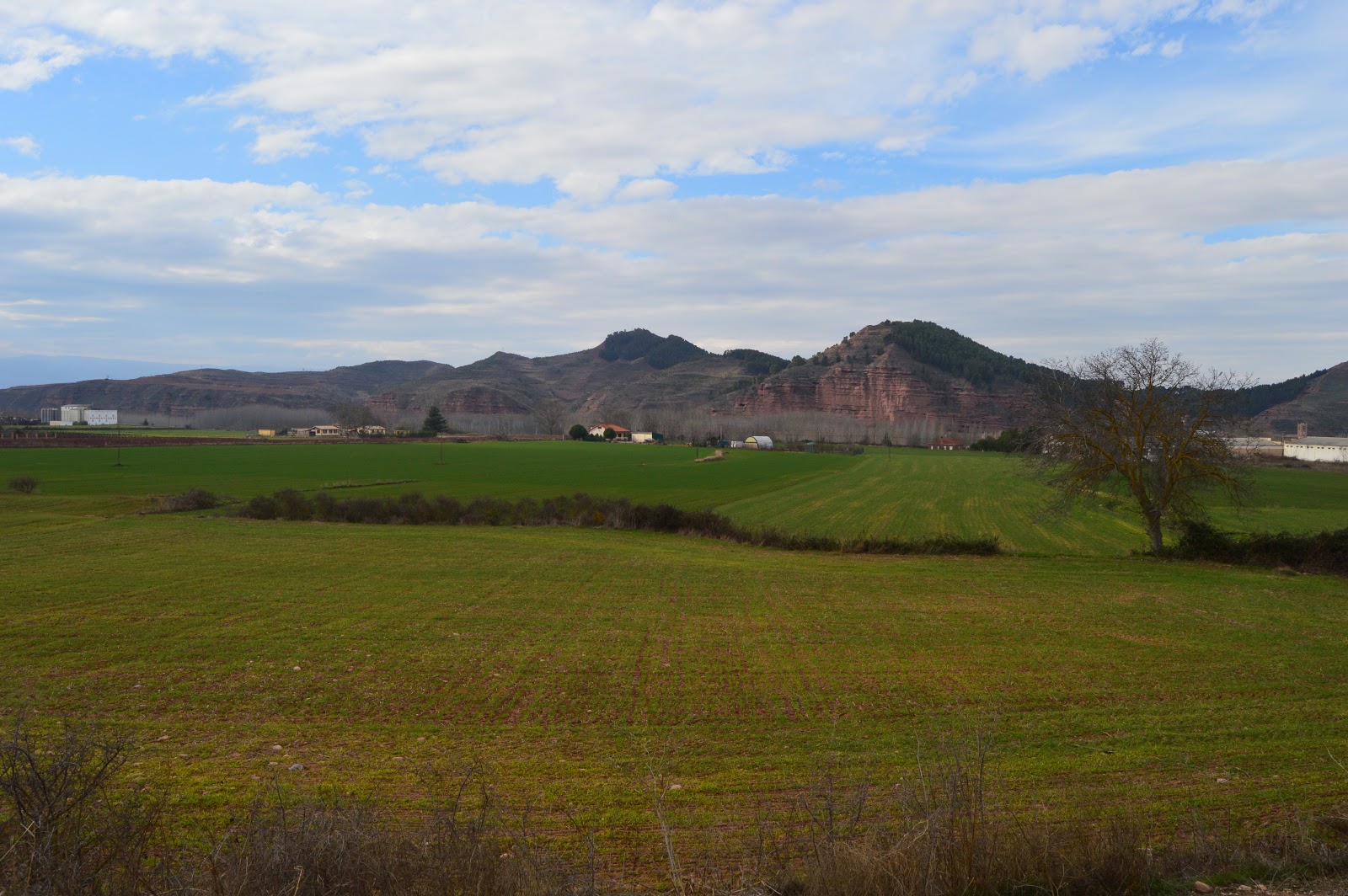DSC_0778.JPG