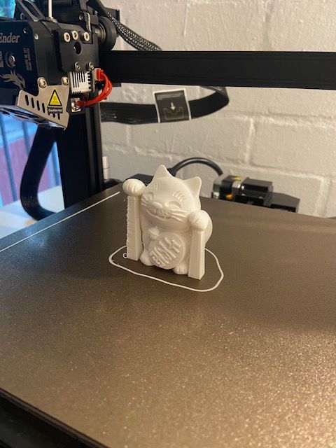 First print on the Ender 3 S1 Pro 3D printer