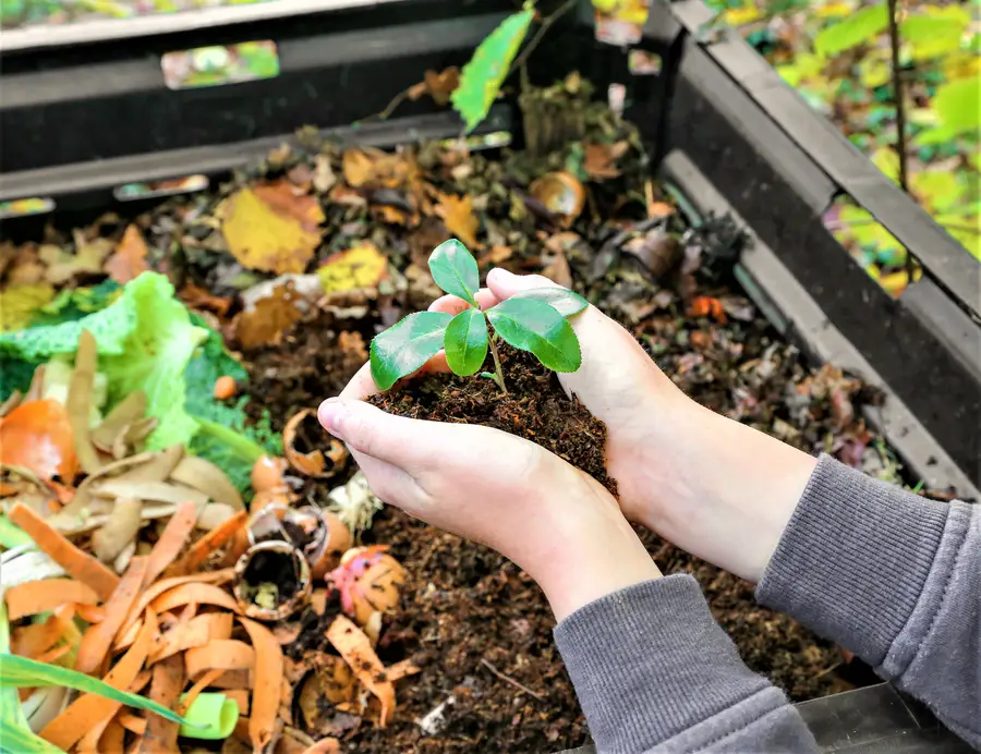 Compost