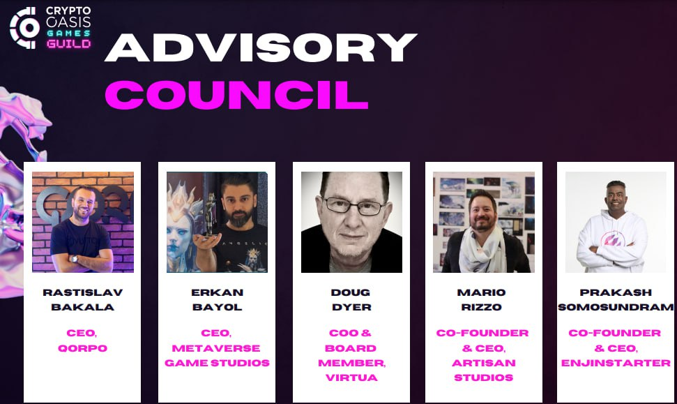 Advisory Council of Crypto Oasis Games Guild