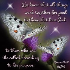 Image result for Gods transformative spirit surrounded a broken wing butterfly