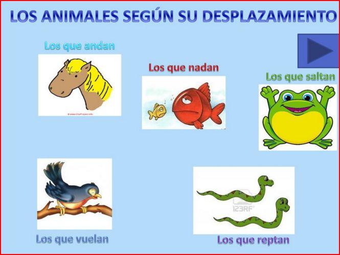 C:\Users\Pilar Villarroya\Desktop\animales 2.JPG