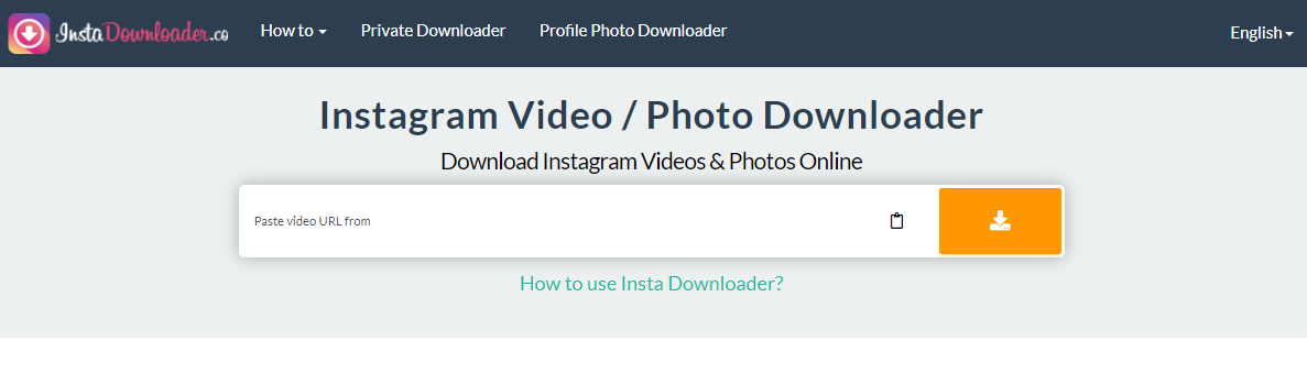 InstaDownloader free online instagram video downloader