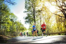 Blue Ridge Marathon course