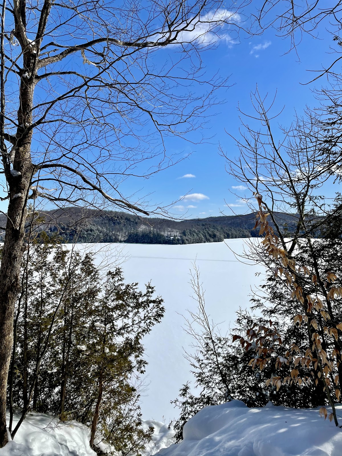 echo rock lookout limberlost