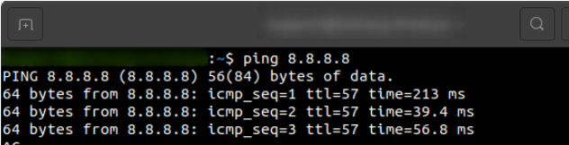 Haciendo ping en Terminal de Ubuntu