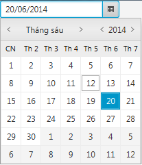 p3_6_DatePicker.png