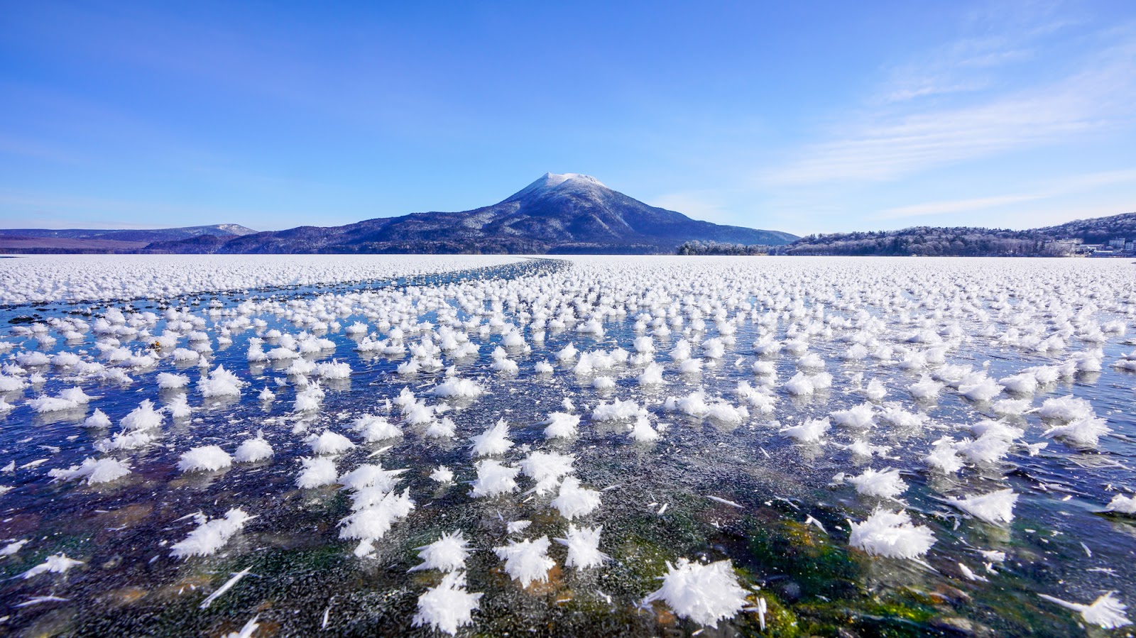 3. 釧路市 冬にしか見られない雪の結晶の花畑「フロストフラワー」