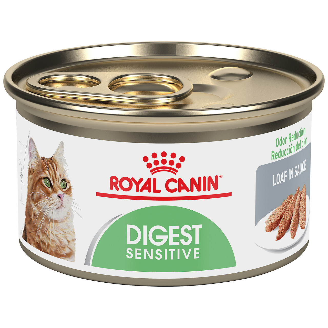 food-for-cat-with-digestive-problems