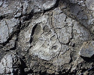 The Ka’ū Desert is located in Hawai’i Volcanoes National Park on the Big Island. It’s a remote area with little foot traffic and some mysterious footprints. 