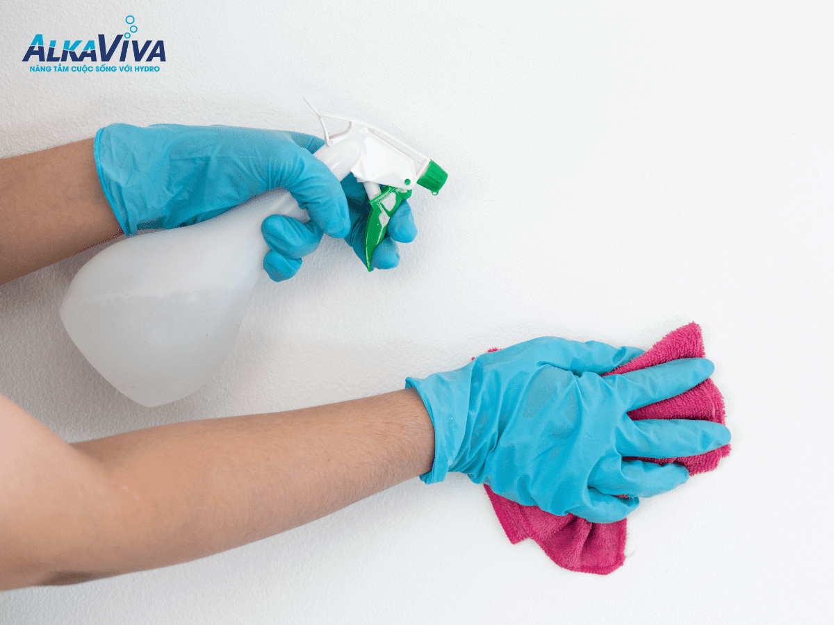 Khuyến mãi cuối năm của AlkaViva 13