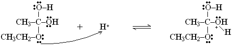 Medicinal (Prac)-4.bmp