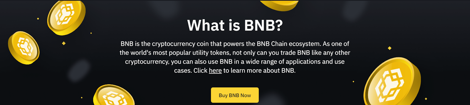 beste langsiktige kryptoinvesteringer - BNB