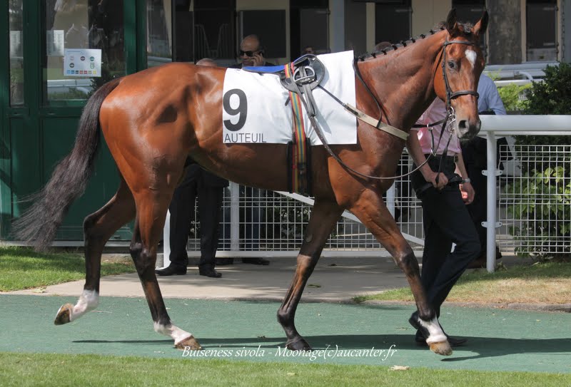 Photos Auteuil 7-06-2015 Journée Grande Course de Haies - Page 2 Yhm8Zx_J-SmN7J5aasU5Egf1hDQJiMzWlPt3dMntmGok=w800-h543-no