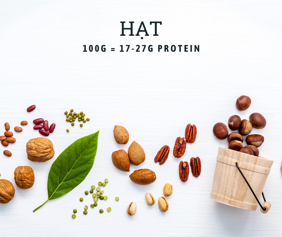 Các loại hạt chứa nhiều protein hoặc vitamin 