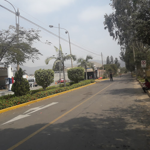 LM-119, Distrito de Lima 15026, Perú