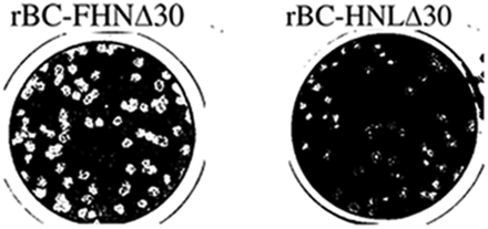 Figure1