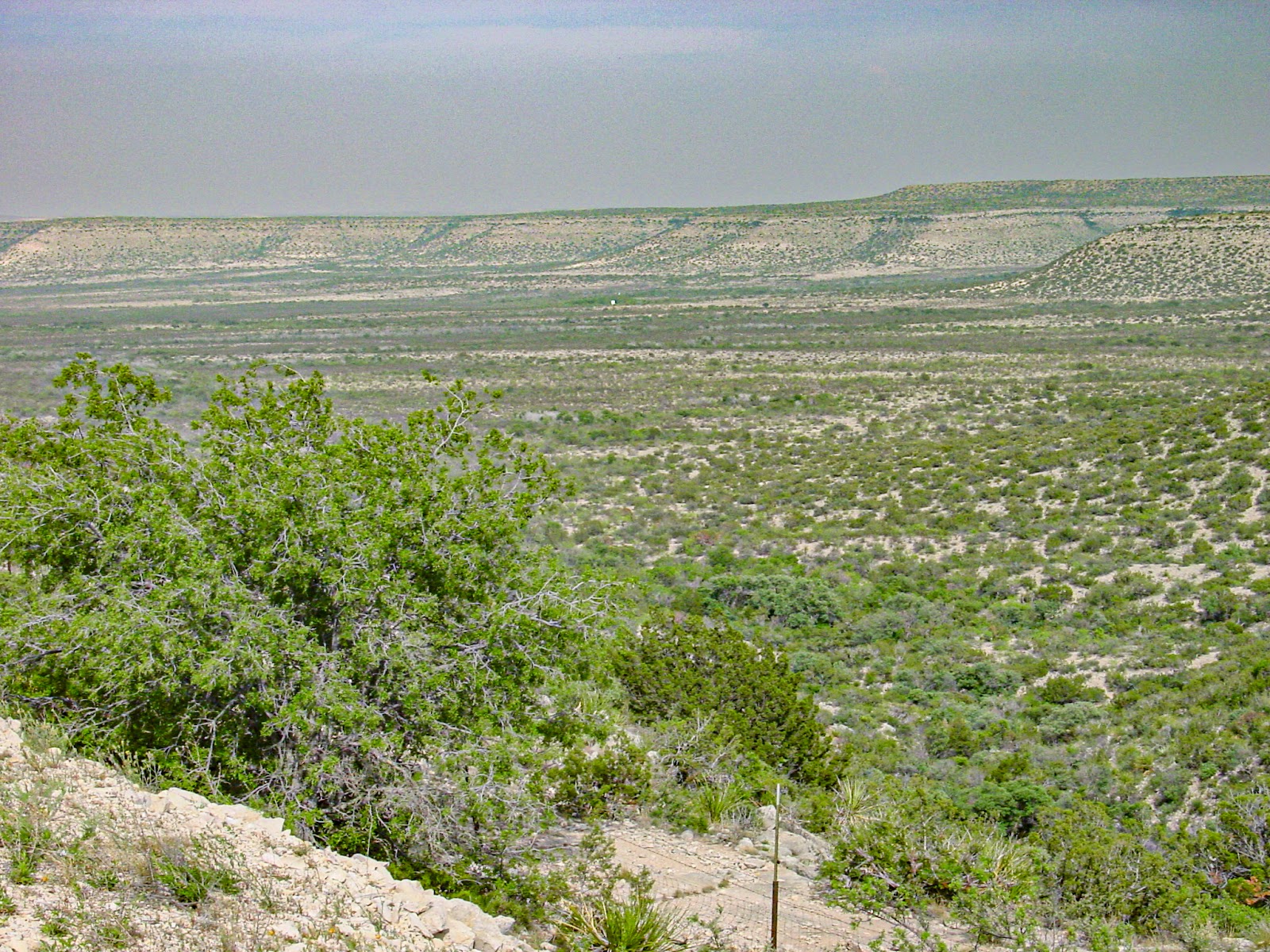 An open desert valley with some green shrubs and distant mesas.