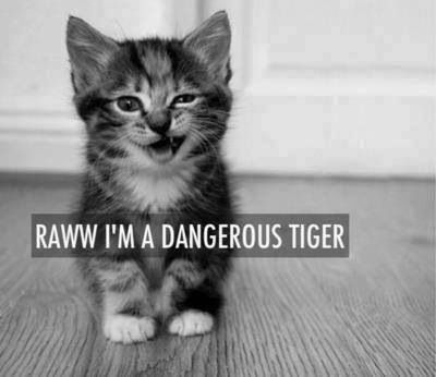 Image result for Tiger quotes