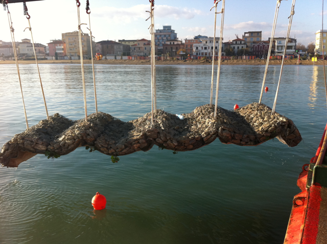 SRL - Via Soardi Rimini (RN)4596016734