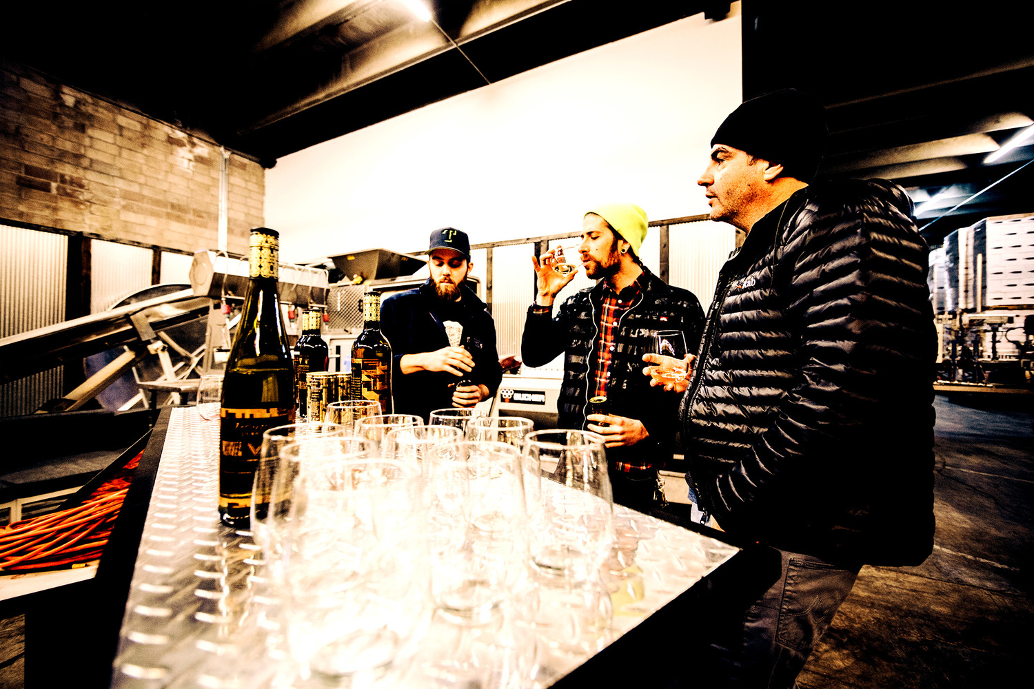 Infinite Monkey Theorem Denver's Top Wine Tours