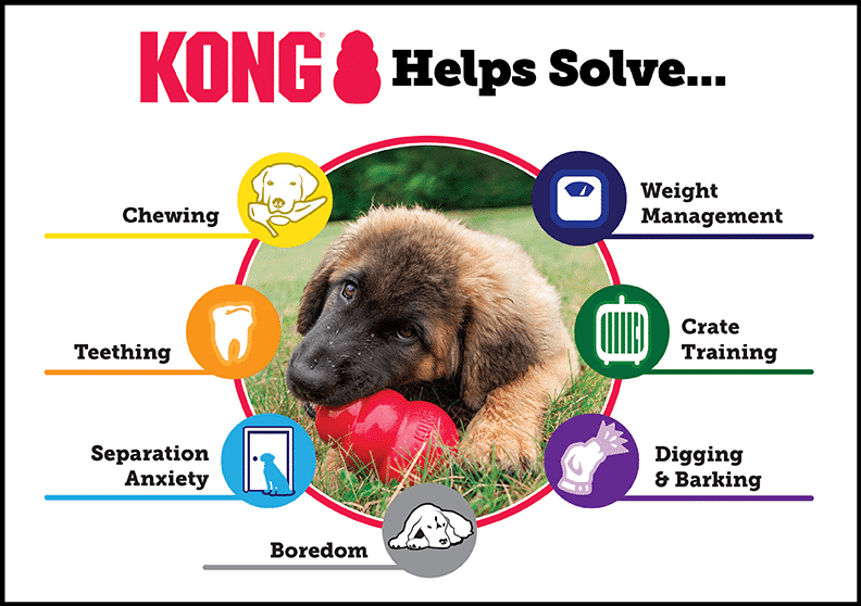 Dog with Kong - 46+ Yummy & Healthy Snacks To Fill Your Dog’s Kong!