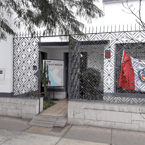 IPOPS - Instituto Peruano de Orientación Psicológica - Psicólogo
