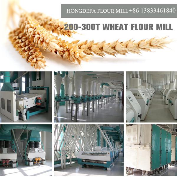 wheat flour mill design 200 300t