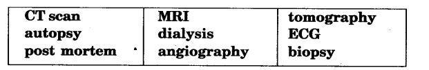 NCERT Solutions For Class 11 English Hornbill Discovering Tut The Saga Continues Q2
