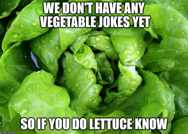 More Than Salads and Sandwich Ingredient - The History of Lettuce