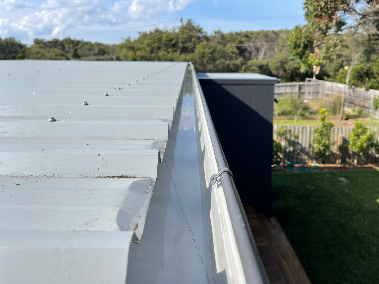 Gutter Cleaning