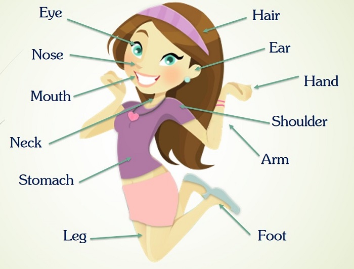 Tiếng Anh trẻ em theo chủ đề cơ thể người có từ vựng rất gũi gũi với các bé