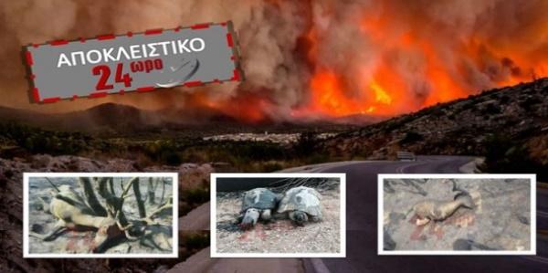 Σχετική εικόνα
