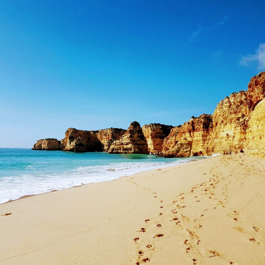 rantakäveliy, Falesian ranta, Albufeira
Appelsiininkukka, UNKNOWN PORTUGAL