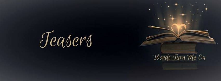 WTMO Teasers Banner Final.jpg