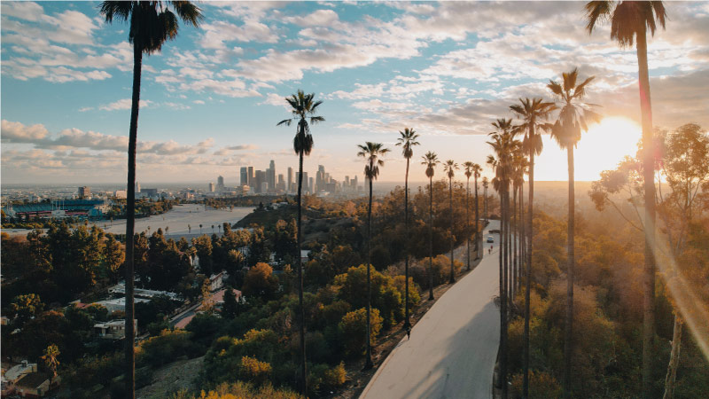 A road leading into Los Angeles is lined with palm trees. The city skyline can be seen in the distance.