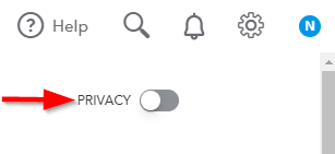 QuickBooks Reporting: Privacy Toggle Button