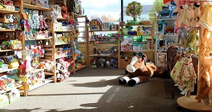 Infant section sunny