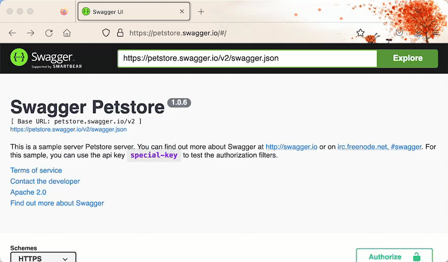 Exploring Petstore API documentation