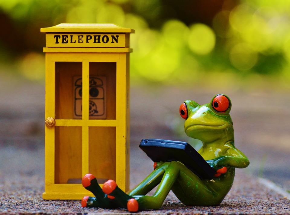Frog Phone Booth - Free photo on Pixabay