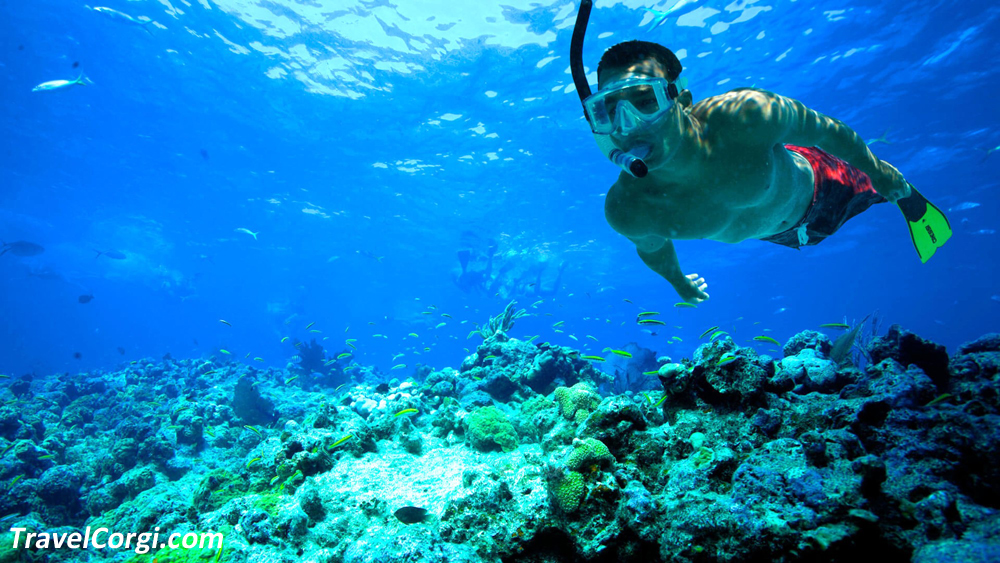 Go Snorkeling At Tahiti