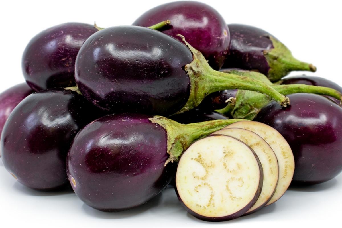 Indian Eggplant