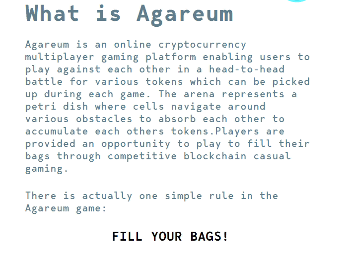 Обзор ICO-проекта Agareum: отзывы пользователей о блокчейн-игре