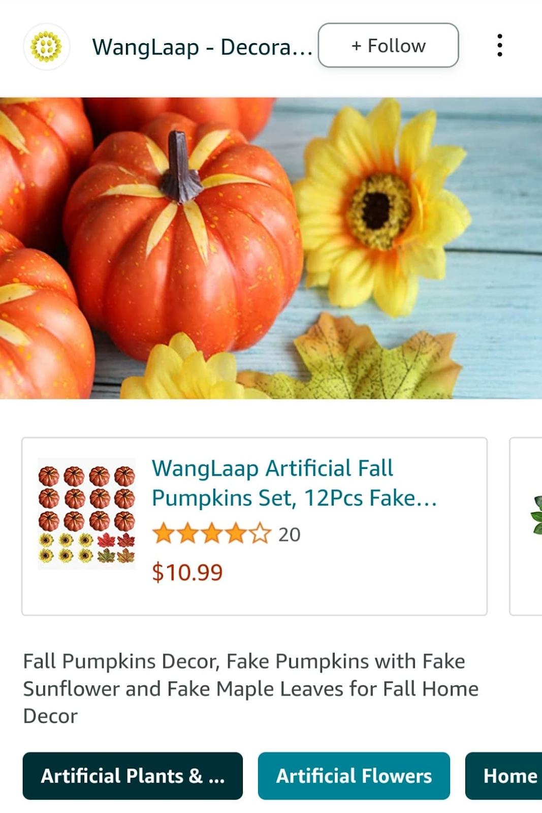 Pumpkin Amazon Post