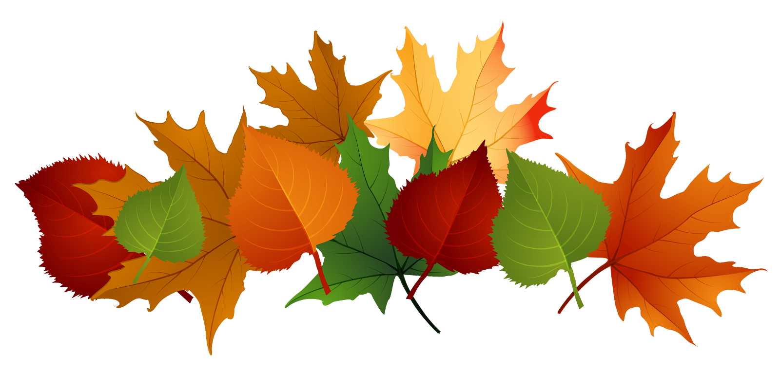 Fall leaves fall clip art autumn clipart 5 