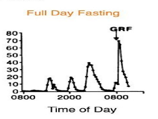 How to intermittent fast- Graphs between Human growth hormone VS Time of day in full day fasting