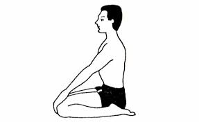 Vajrasana 1.jpg